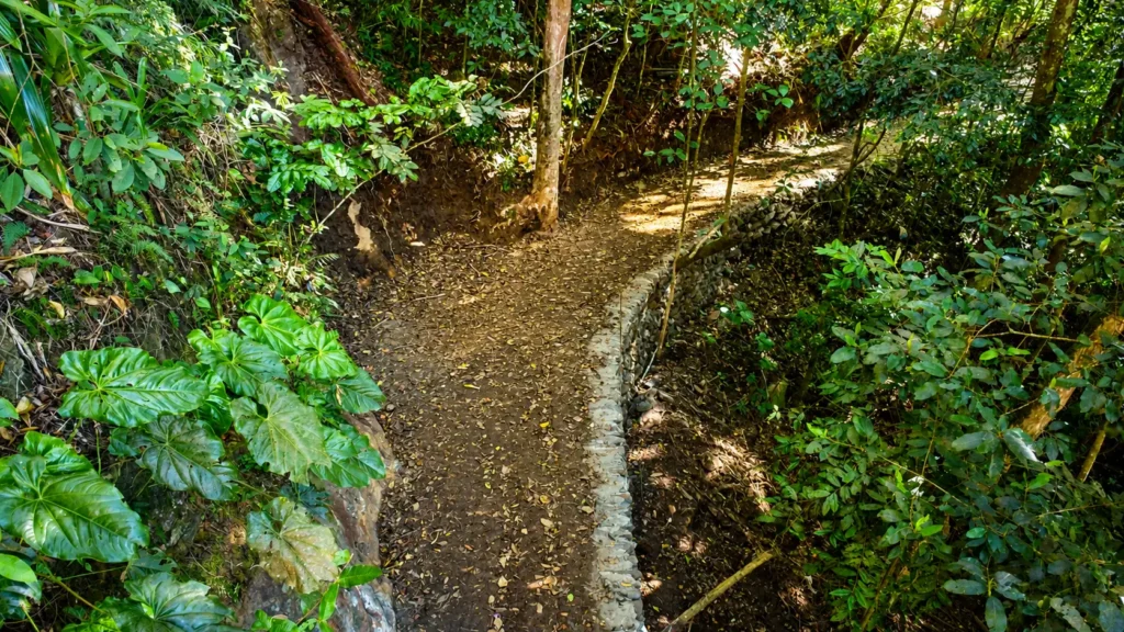 Experiencia de turismo de naturaleza en El Dorado Rainforest Resort