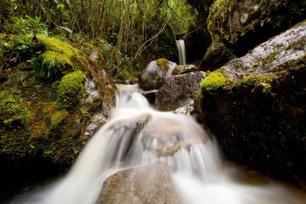 Desconexión y naturaleza en El Dorado, Sierra Nevada de Santa Marta