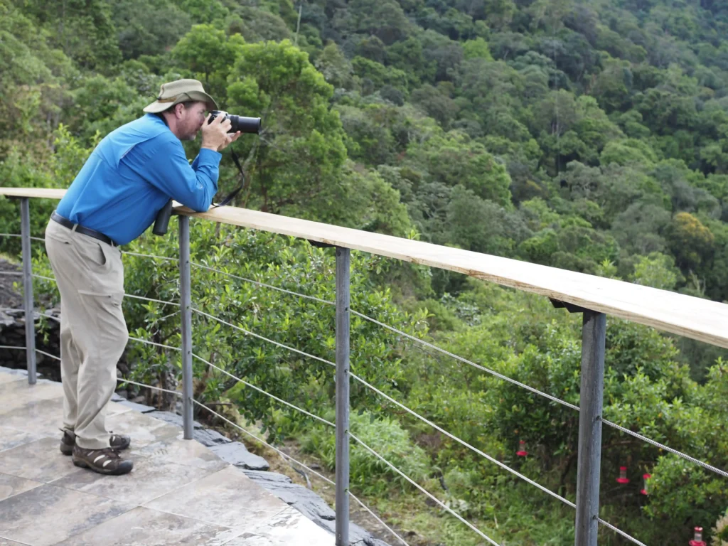 Experiencia de observación de aves en El Dorado Rainforest Resort